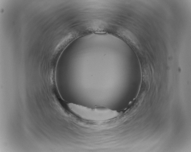 X0000070400023200606161357