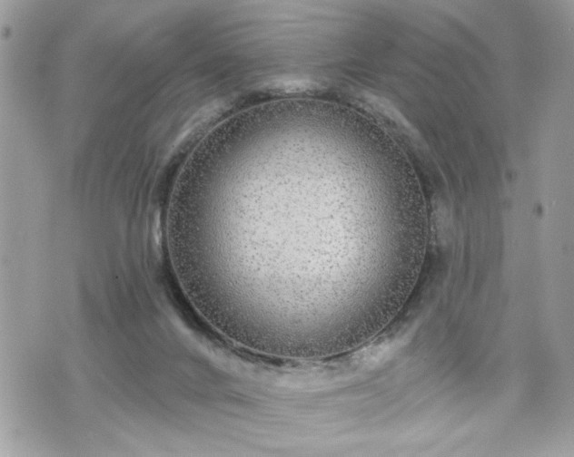 X0000070400024200606161357