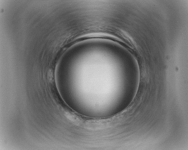 X0000070400025200606161357