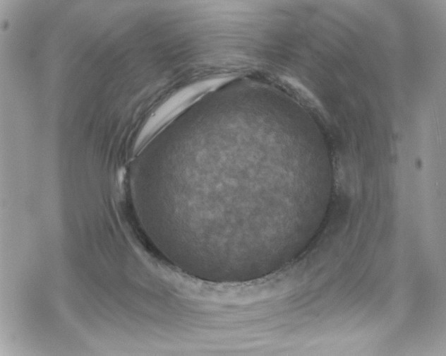 X0000070400026200606161357