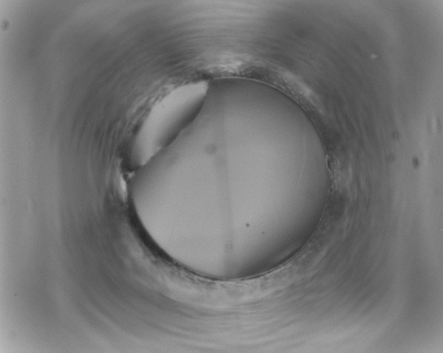 X0000070400027200606161357