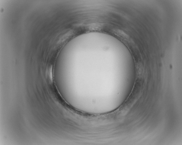 X0000070400028200606161357