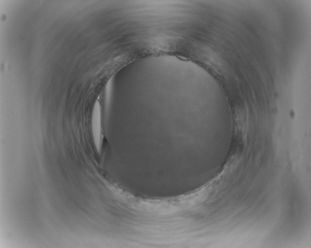 X0000070400029200606161357