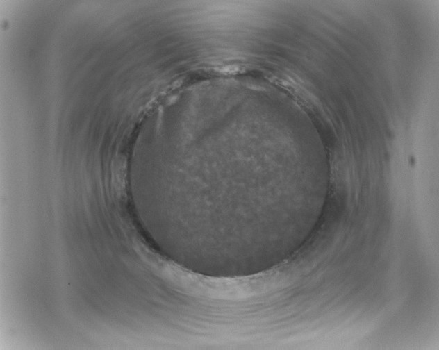 X0000070400030200606161357