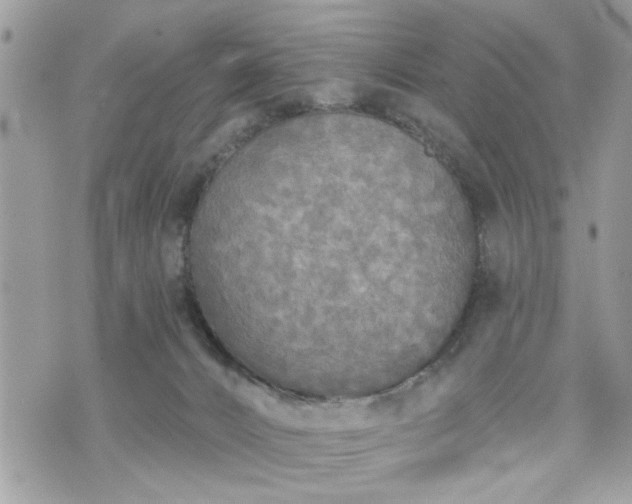 X0000070400032200606161357