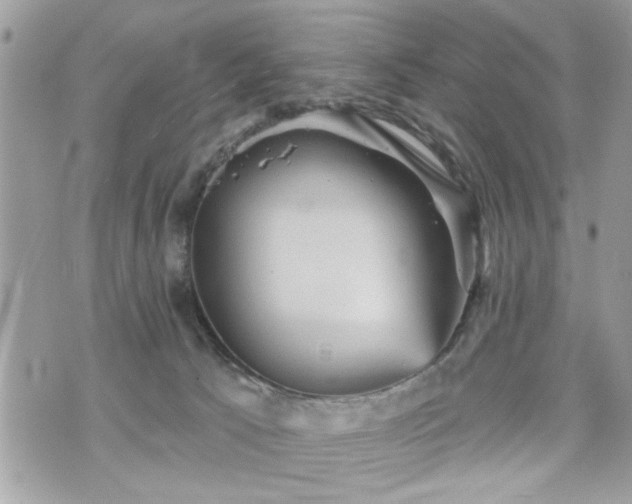 X0000070400033200606161357