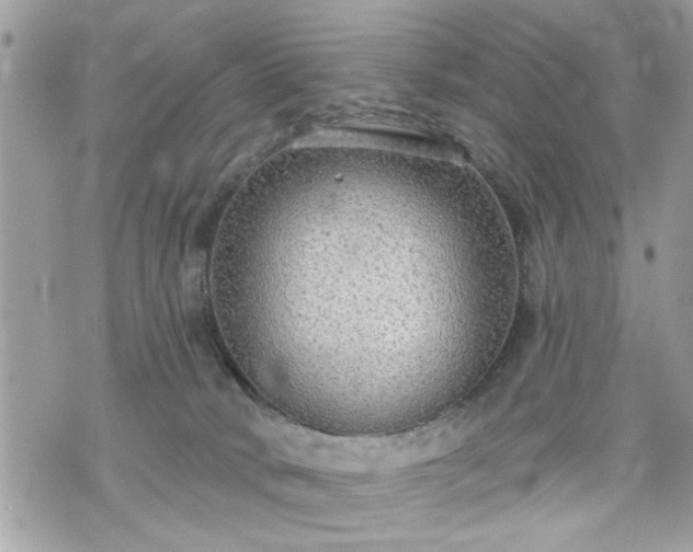 X0000070400034200606161357