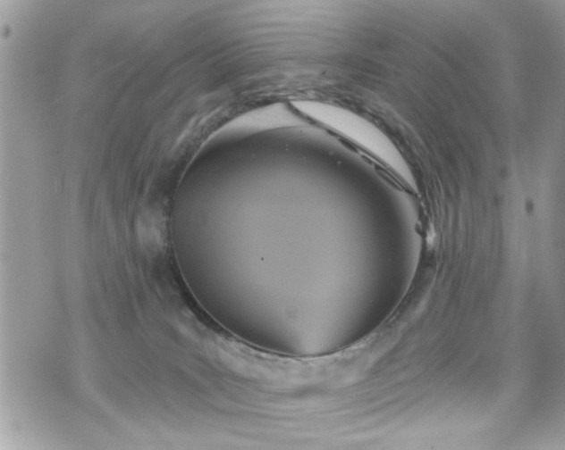 X0000070400035200606161357