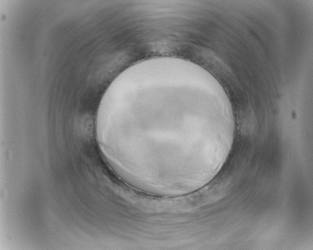 X0000070400036200606161357