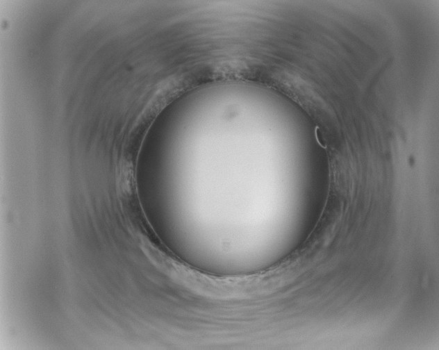 X0000070400038200606161357