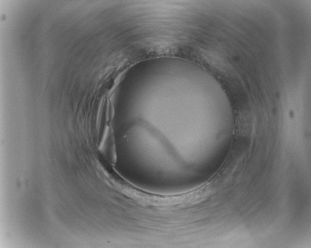 X0000070400039200606161357