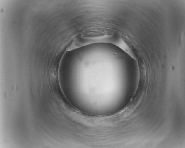 X0000070400040200606161357