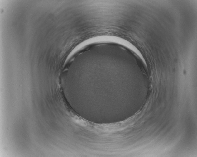 X0000070400041200606161357