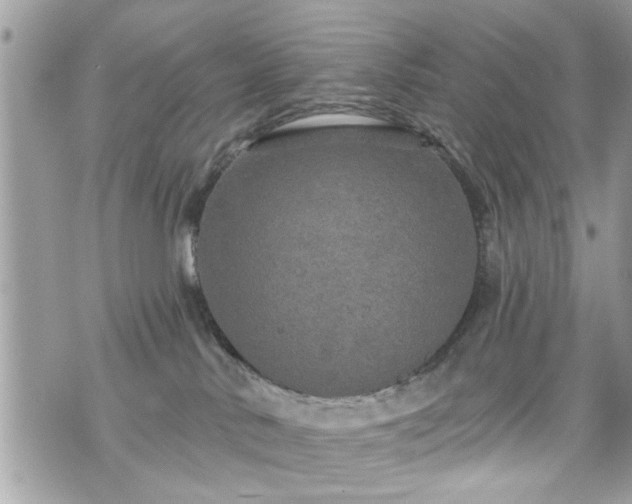 X0000070400042200606161357