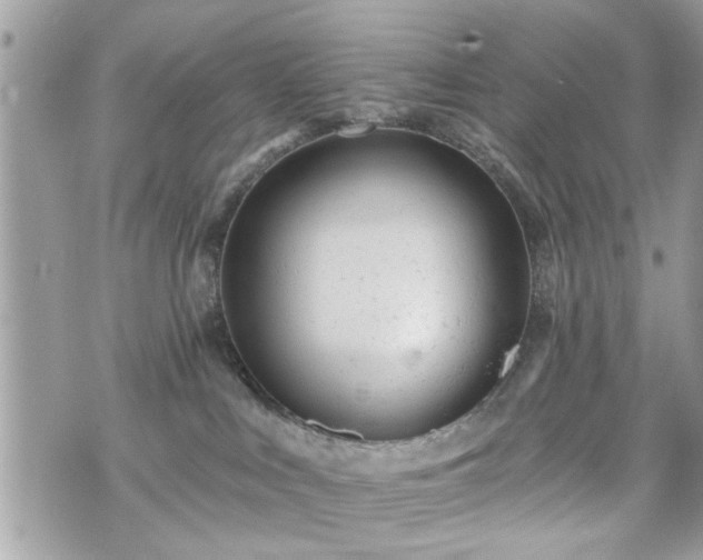 X0000070400043200606161357