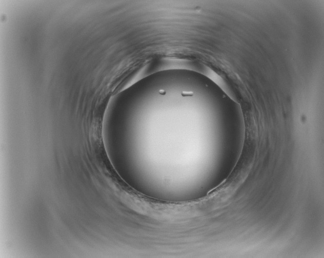 X0000070400044200606161357