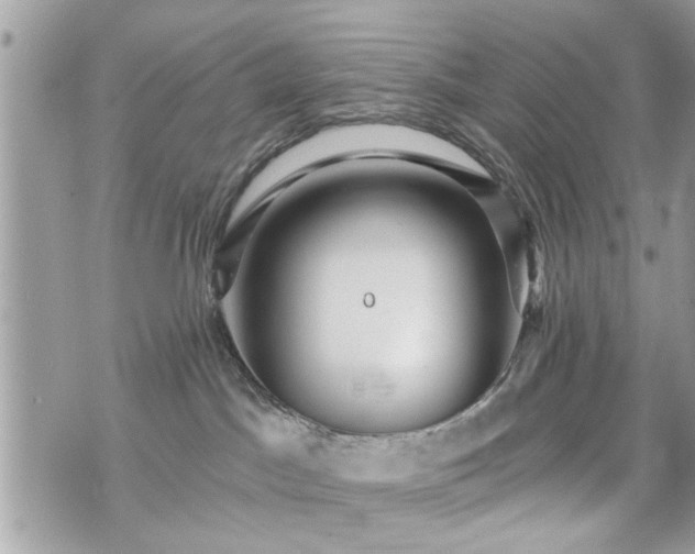 X0000070400045200606161357