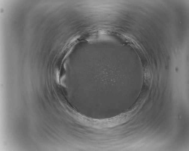 X0000070400046200606161357