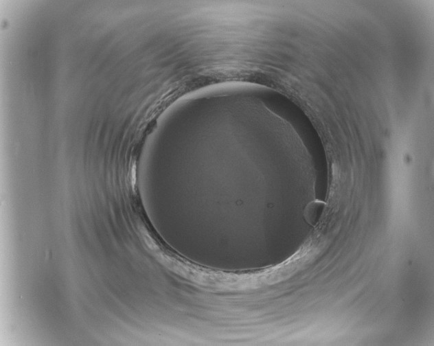 X0000070400048200606161357