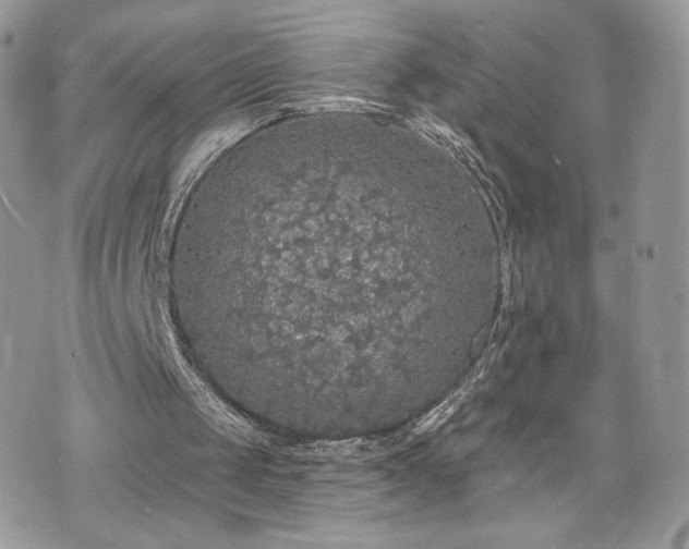 X0000070400049200606161356