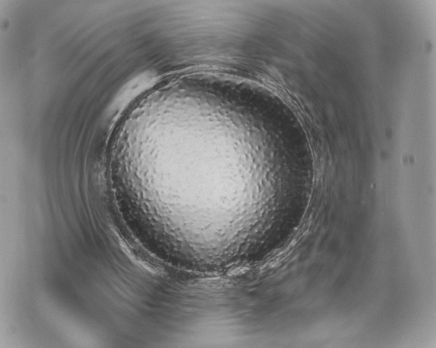 X0000070400050200606161356