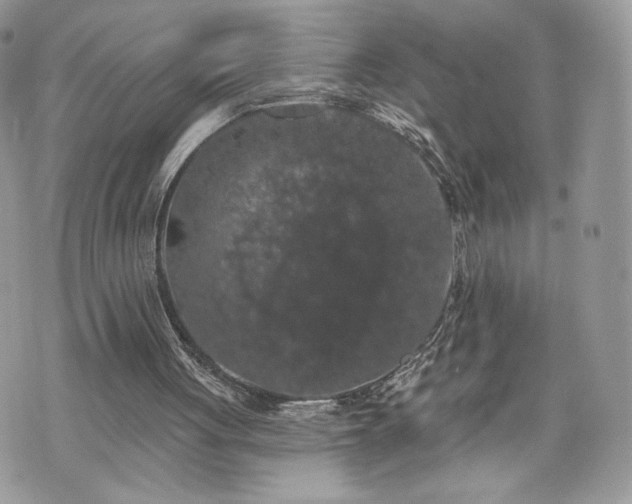 X0000070400051200606161356