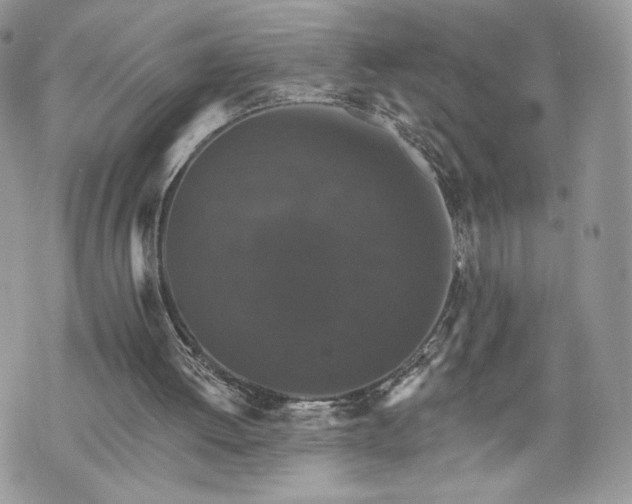 X0000070400052200606161356