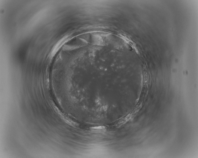 X0000070400053200606161356