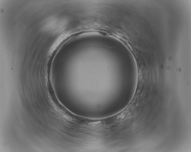 X0000070400054200606161356