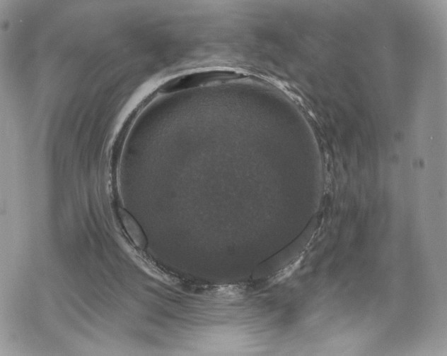 X0000070400056200606161356