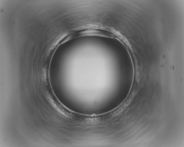 X0000070400057200606161356