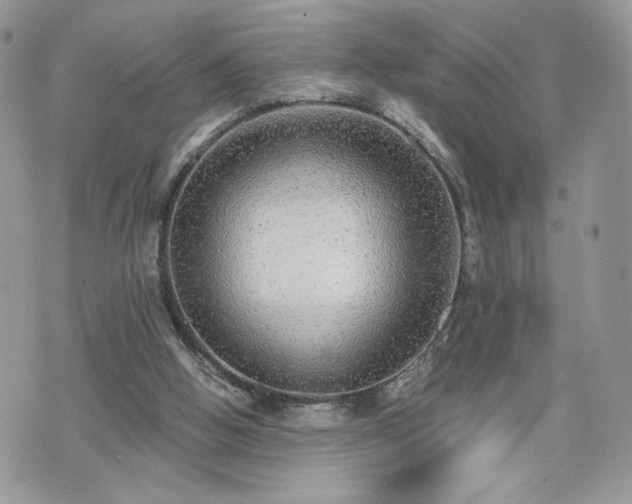 X0000070400058200606161356