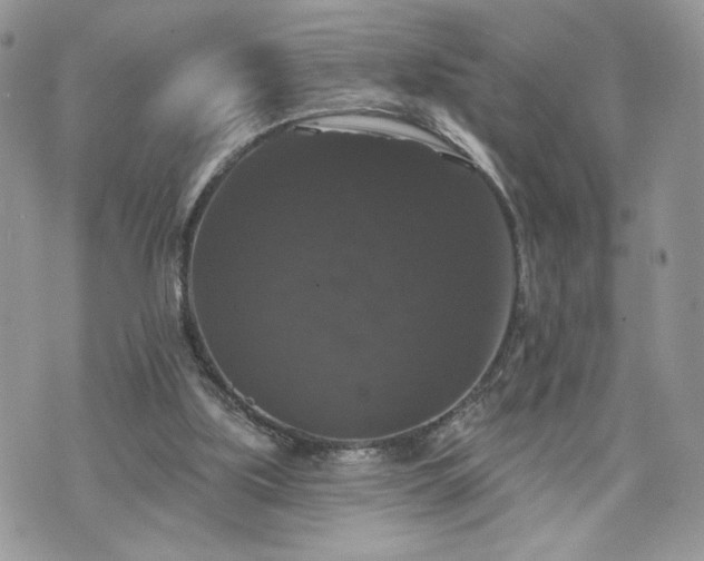 X0000070400059200606161356