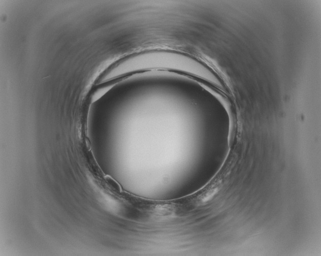 X0000070400060200606161356