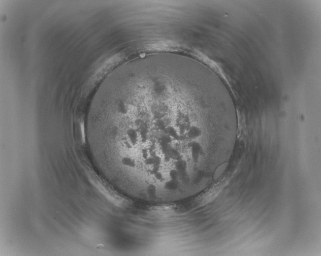 X0000070400061200606161356