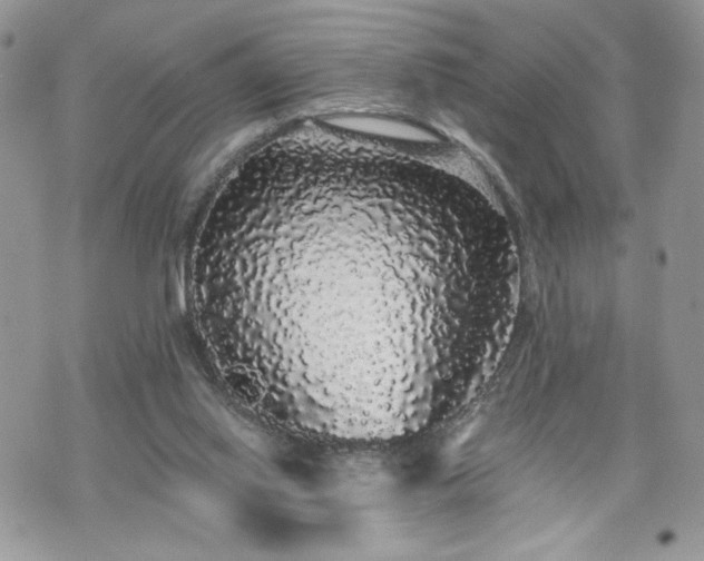 X0000070400062200606161356