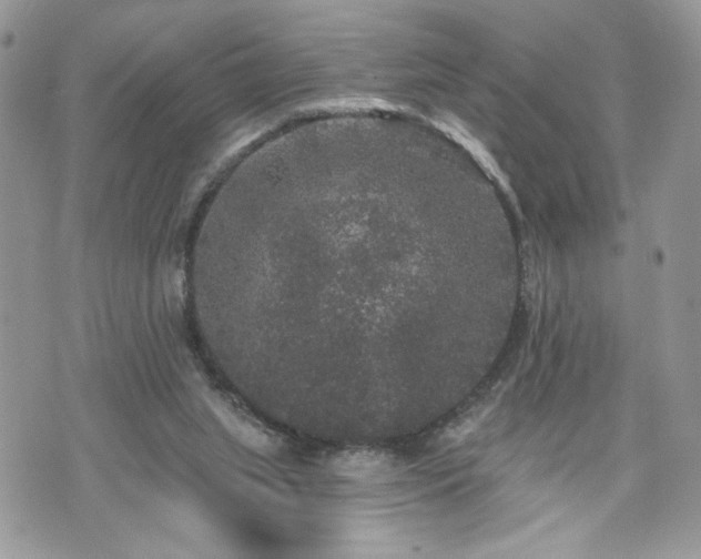 X0000070400063200606161356