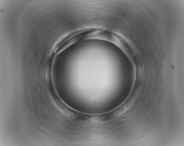 X0000070400064200606161356