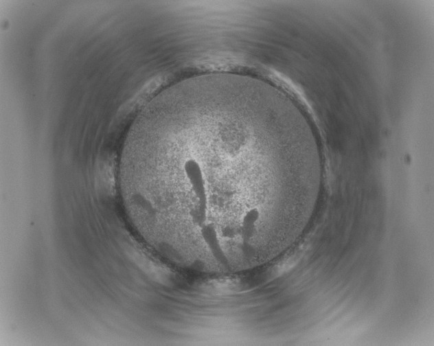 X0000070400065200606161356