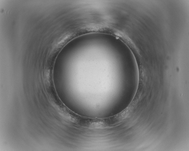 X0000070400066200606161356