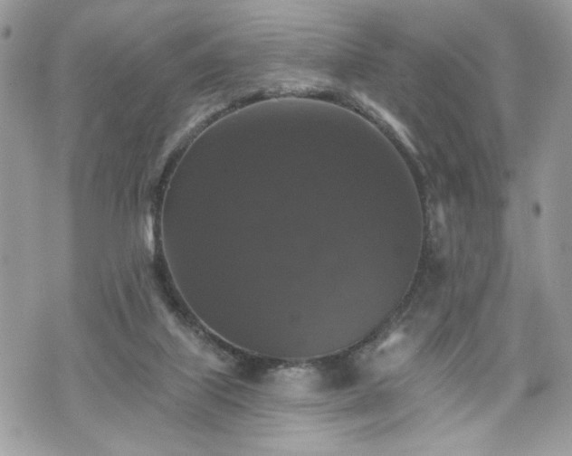 X0000070400067200606161356