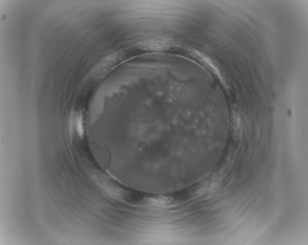 X0000070400069200606161356