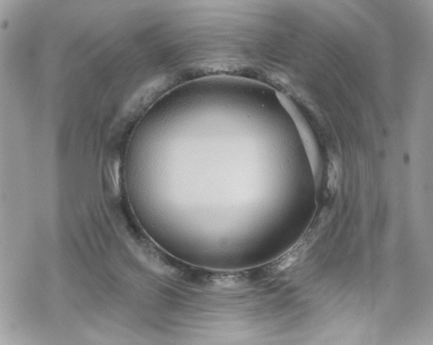 X0000070400070200606161356