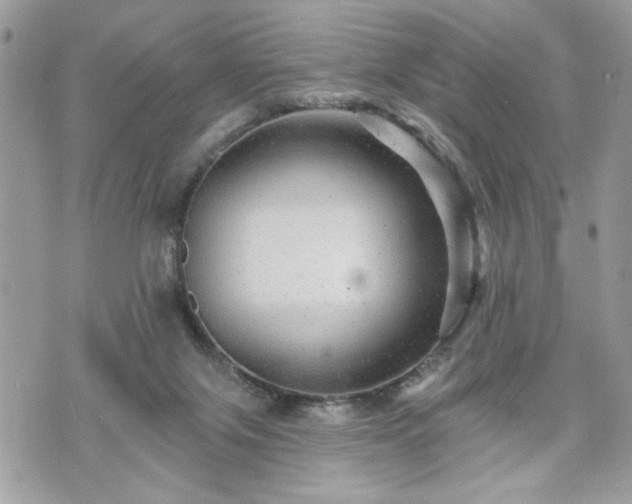 X0000070400071200606161356