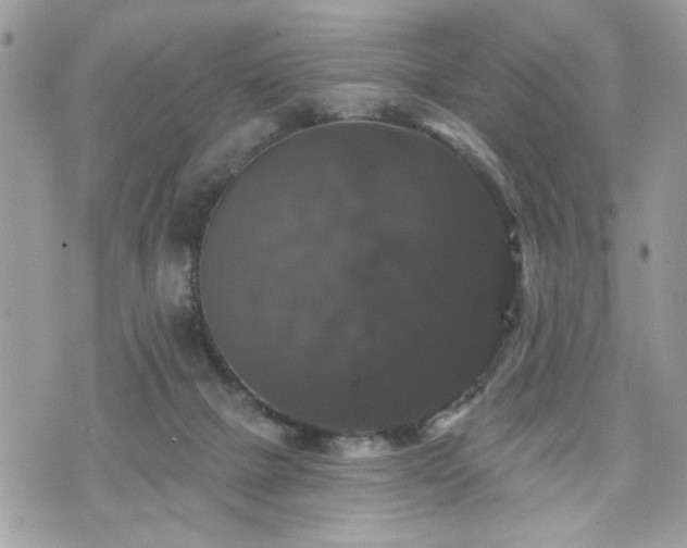 X0000070400073200606161356