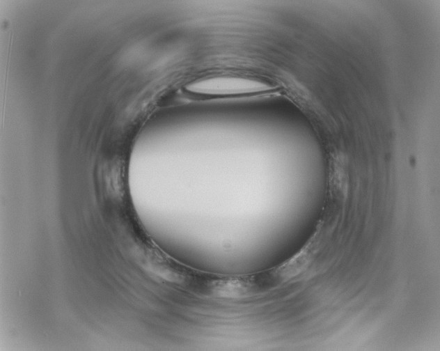 X0000070400074200606161356