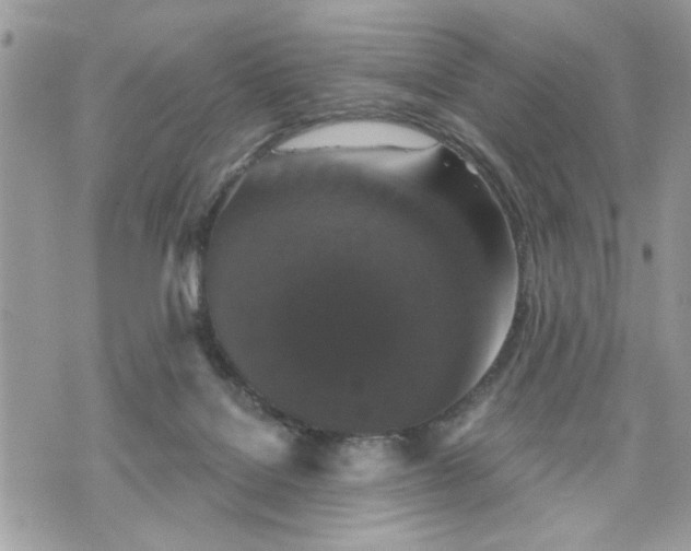 X0000070400076200606161356