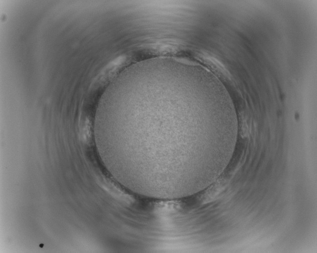 X0000070400077200606161356