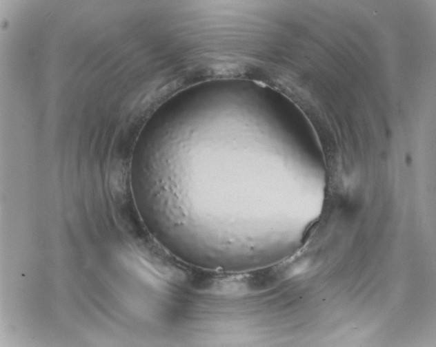 X0000070400078200606161356