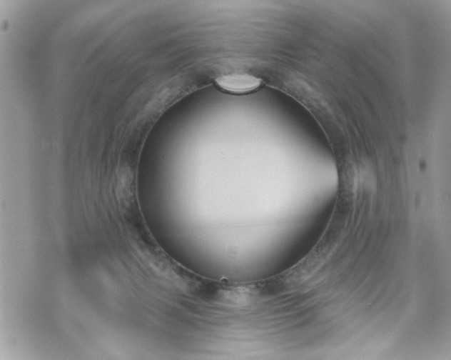 X0000070400079200606161356